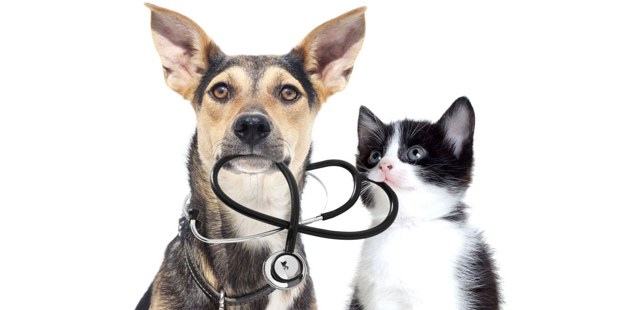 Veterinary Diagnostics